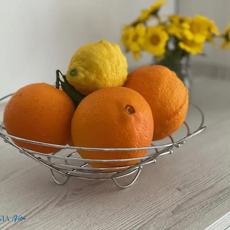 아파트호텔 Magic Kefalonia 4*